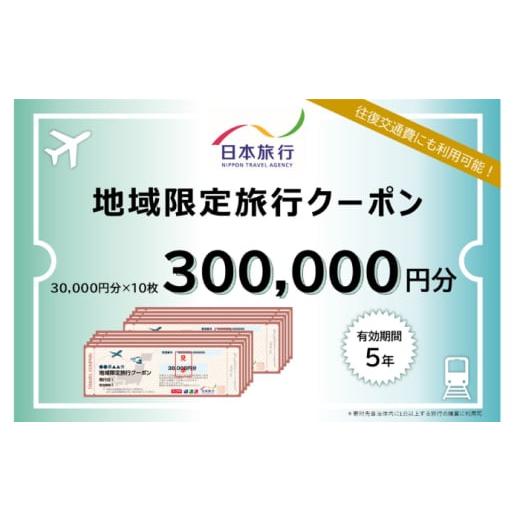 ふるさと納税 パッケージ旅行 高知県 高知市 高知市 日本旅行 地域限定旅行クーポン300,000...