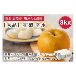 ふるさと納税 梨 新潟県 加茂市 2026年先行予約 新潟県産 和梨 幸水 3kg 秀品 《8月中旬〜順次発送》 こうすい なし 果物 フルーツ デザート ジューシー シャ…
