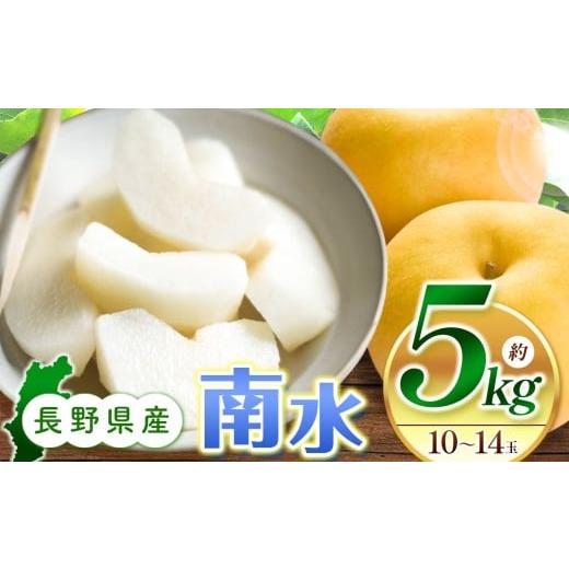 ふるさと納税 梨 長野県 松本市  先行受付 南水5kg（10〜14玉）｜ふるさと納税 松本市 なし...
