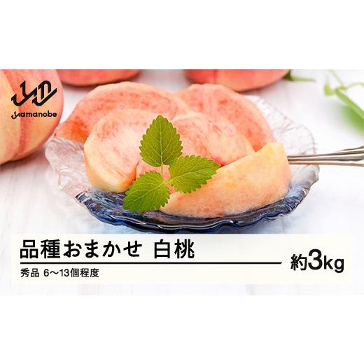 ふるさと納税 もも 山形県 山辺町 《先行予約》もも 桃 品種おまかせ 8月旬の白桃 秀品 約3kg...