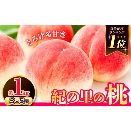 ふるさと納税 もも 和歌山県 紀の川市 桃 もも 〜とろける甘さ〜和歌山県産 紀の里の桃 お試し 約...