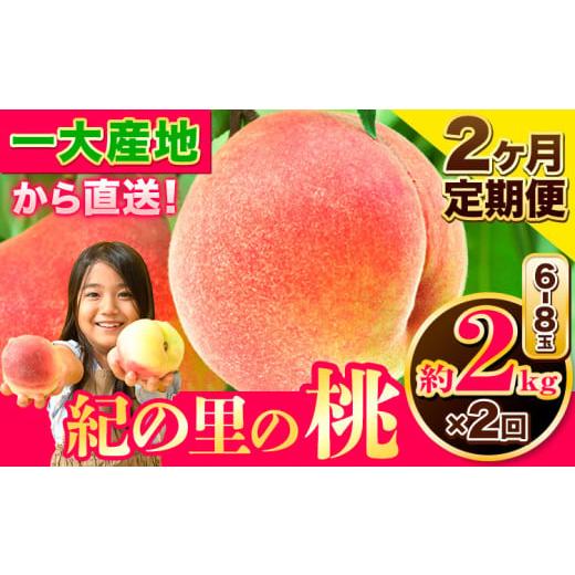 ふるさと納税 もも 和歌山県 紀の川市 桃 もも〜とろける甘さ〜和歌山県産 紀の里の桃 2ヶ月定期便...