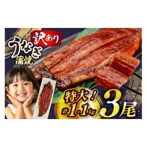 ふるさと納税 うなぎ 福岡県 宇美町 うなぎ ...の詳細画像1