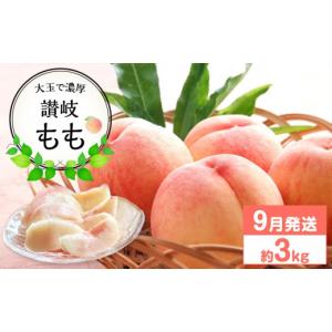 ふるさと納税 もも 香川県 さぬき市 先行予約 大玉で濃厚な讃岐もも 約3kg 9月出荷 品種おまかせ 国産もも 桃 白桃 白鳳 あかつき 清水白桃 なつおとめ 川中…
