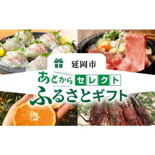 ふるさと納税 ポイント 宮崎県 延岡市 あとからセレクト80万円 N0159-YN002