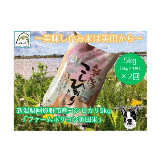 ふるさと納税 米 コシヒカリ 新潟県 阿賀野市  令和7年産新米 2ヶ月定期便 阿賀野市産 コシヒカ...