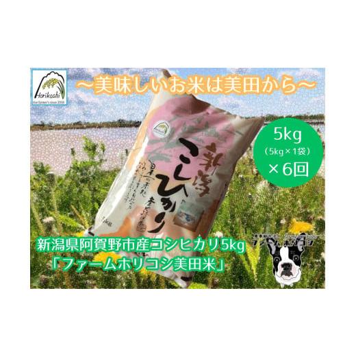 ふるさと納税 米 コシヒカリ 新潟県 阿賀野市  令和7年産新米 6ヶ月定期便 阿賀野市産 コシヒカ...