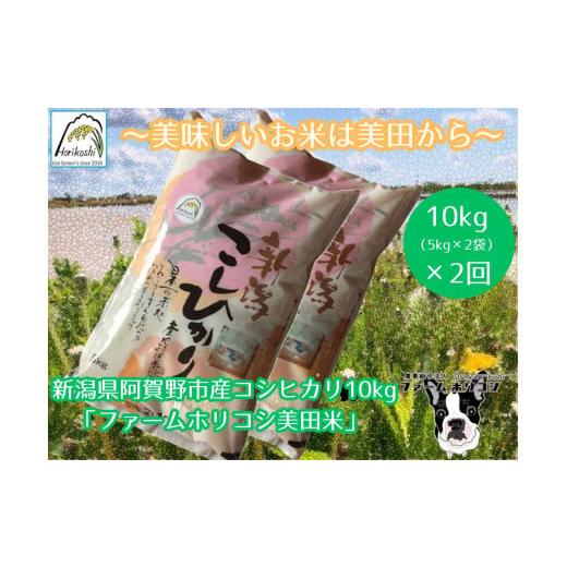 ふるさと納税 米 コシヒカリ 新潟県 阿賀野市  令和7年産新米 2ヶ月定期便 阿賀野市産 コシヒカ...