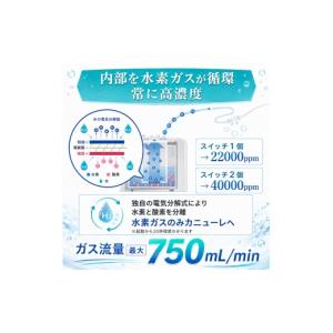 ふるさと納税 電化製品 栃木県 矢板市 吸入用...の詳細画像3