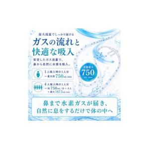ふるさと納税 電化製品 栃木県 矢板市 吸入用...の詳細画像4