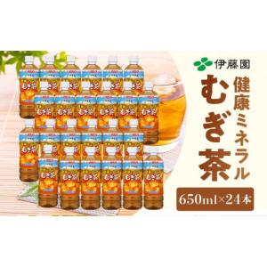ふるさと納税 お茶類 和歌山県 海南市 定期便 毎月 全6回 健康ミネラル麦茶 650ml×24本 １ケース 6ヶ月定期便