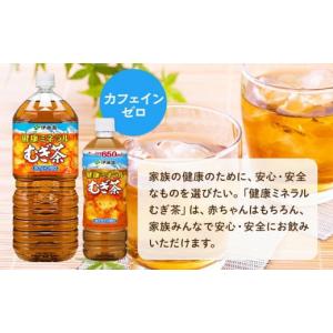 ふるさと納税 お茶類 和歌山県 海南市 定期便...の詳細画像2