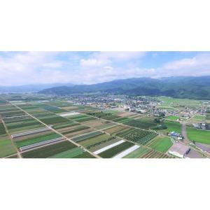 ふるさと納税 雑貨・日用品 長野県 山形村 プ...の詳細画像4