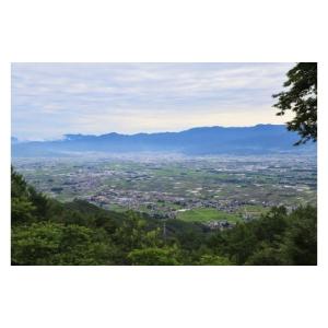 ふるさと納税 雑貨・日用品 長野県 山形村 プ...の詳細画像5