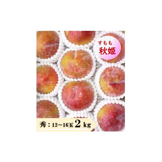 ふるさと納税 もも 山形県 天童市 08-08-038　すもも（秋姫）2kg