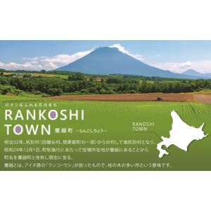 ふるさと納税 化粧水・乳液 美容液・クリーム ...の詳細画像5