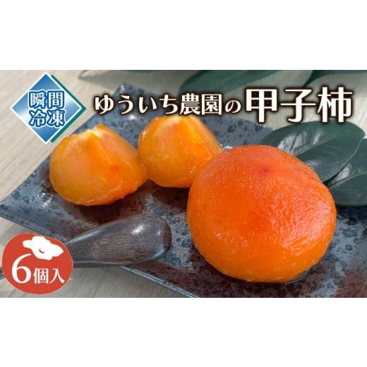 ふるさと納税 果物類 柿 岩手県 釜石市 fc-71-001 ゆういち農園の甲子柿 6個入り