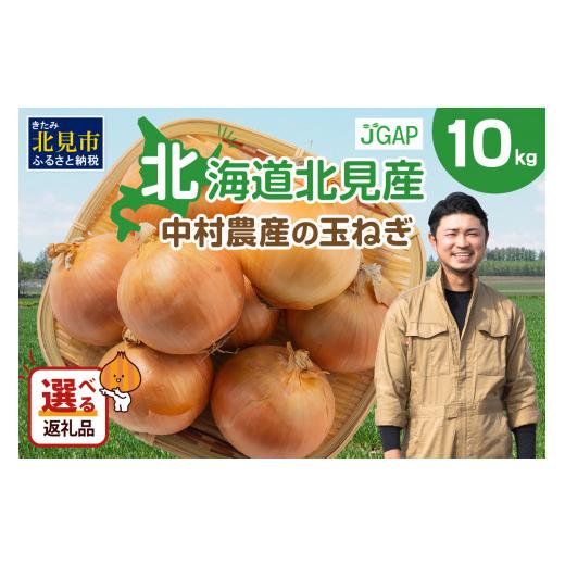 ふるさと納税 野菜類 玉ねぎ 北海道 北見市  2027年1月中お届け 北海道北見産 玉ねぎ 10k...