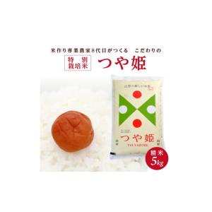 ヒノヒカリ 米20kg 広島県産 ヒノヒカリ(4年産) 広島県産 精白米 20kg