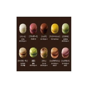 ふるさと納税 焼菓子・チョコレート マカロン ...の詳細画像4