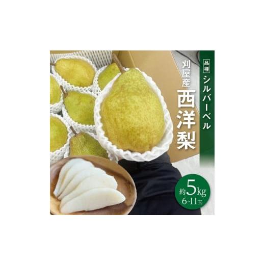 ふるさと納税 梨 山形県 酒田市 酒田の果物専門店厳選　シルバーベル(洋梨)　約5kg(6〜11玉入...