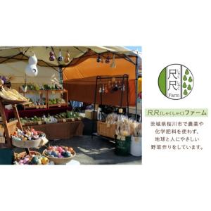 ふるさと納税 コーヒー 茨城県 桜川市 尺尺フ...の詳細画像5