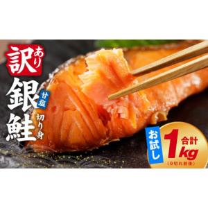 ふるさと納税 魚貝類 鮭 大阪府 泉佐野市 訳あり 銀鮭 切り身 1kg(約9切れ) 規格外 甘塩 バラ凍結 海鮮 魚介 鮭 さけ しゃけ お弁当 朝食 おかず 簡単調理 家…