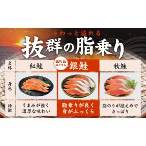 ふるさと納税 魚貝類 鮭 大阪府 泉佐野市 訳...の詳細画像3