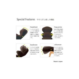 ふるさと納税 雑貨・日用品 愛知県 日進市 イ...の詳細画像4