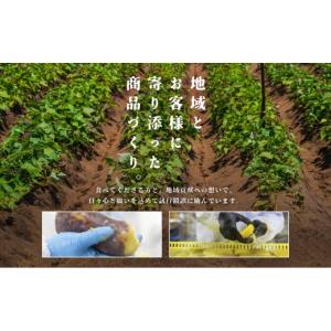 ふるさと納税 干し芋 福島県 二本松市 鉄塔屋...の詳細画像4