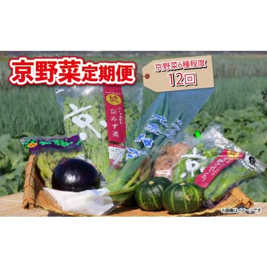 ふるさと納税 セット・詰合せ 京都府 -  12回定期便 京野菜 野菜 6種 程度 定期便 12回 ...