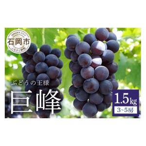 ふるさと納税 ぶどう 巨峰 茨城県 石岡市 2...の詳細画像1