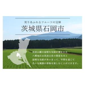 ふるさと納税 ぶどう 巨峰 茨城県 石岡市 2...の詳細画像2