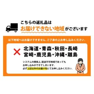 ふるさと納税 菓子 愛知県 岡崎市 フルーツサ...の詳細画像2