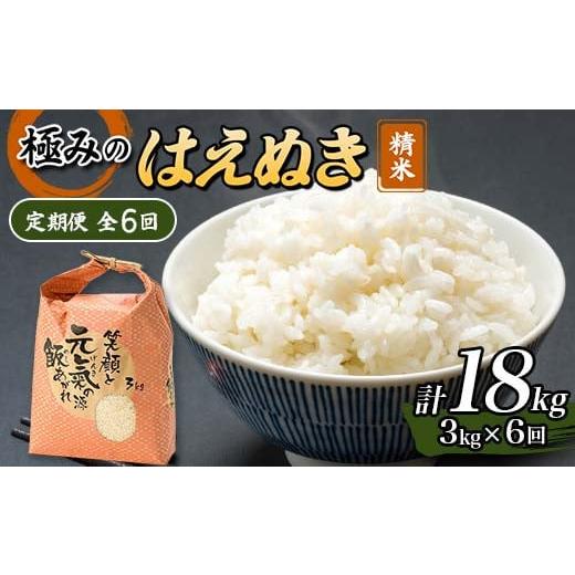 ふるさと納税 米 はえぬき 山形県 新庄市 定期便 全6回 極みのはえぬき（精米）3kg 米 お米 ...