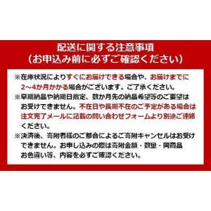 ふるさと納税 電化製品 宮城県 角田市 充電式...の詳細画像2