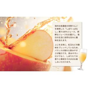 ふるさと納税 果汁飲料 りんご 長野県 千曲市...の詳細画像2