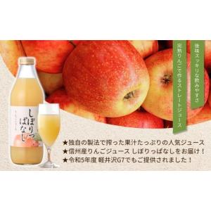 ふるさと納税 果汁飲料 りんご 長野県 千曲市...の詳細画像4