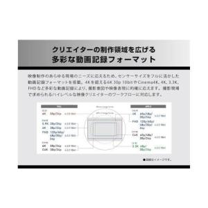 ふるさと納税 TV・オーディオ・カメラ 大阪府...の詳細画像4