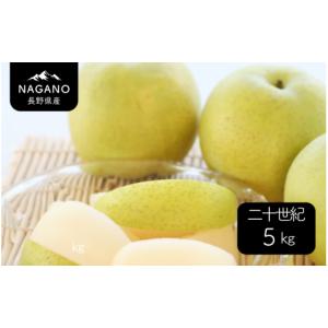 ふるさと納税 梨 長野県 松川町 MS37 梨 二十世紀（長野県産秀品） 約5kg ／2026年9月上旬〜9月下旬頃 配送予定 ／／ 長野県 南信州 梨 なし ナシ 二十世紀 20…