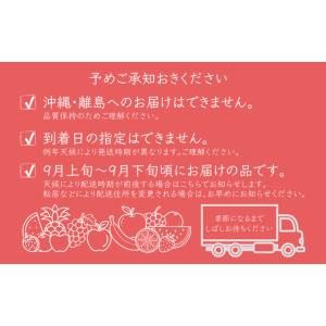 ふるさと納税 梨 長野県 松川町 MS37 梨...の詳細画像4