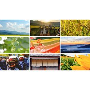 ふるさと納税 食器・グラス 弁当箱 京都府 与...の詳細画像5