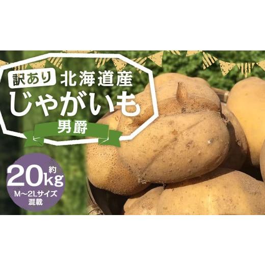 ふるさと納税 野菜類 じゃがいも 北海道 京極町  訳あり 北海道産 じゃがいも 男爵 M〜2Lサイ...