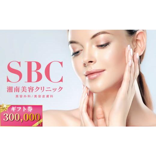 ふるさと納税 美容 神奈川県 藤沢市 湘南美容クリニック ギフト券 300000円分 女性 男性 脱...