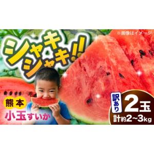 ふるさと納税 スイカ 熊本県 合志市 令和8年熊本地震復興支援 先行予約 2027年5月下旬より発送 訳あり 小玉スイカ 2玉 計約2kg〜3kg 数量限定 ／ スイカ すい…