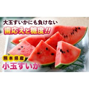 ふるさと納税 スイカ 熊本県 合志市 令和8年...の詳細画像2