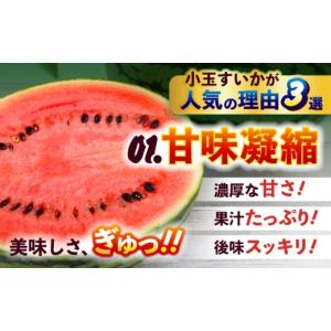 ふるさと納税 スイカ 熊本県 合志市 令和8年...の詳細画像3