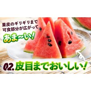 ふるさと納税 スイカ 熊本県 合志市 令和8年...の詳細画像4