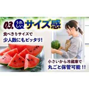 ふるさと納税 スイカ 熊本県 合志市 令和8年...の詳細画像5
