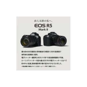 ふるさと納税 TV・オーディオ・カメラ 大分県...の詳細画像3